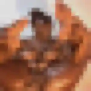 Elise (26 ans) à Achen cherche une rencontre ce soir