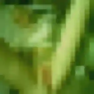 Photo de Tania à Acy-en-Multien (35 ans) - plan cul gratuit
