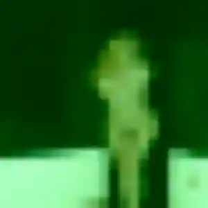 Profil de Sabine à Aiglun (45 ans) - plan cul discret