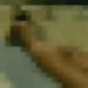 Sexy Solene, 44 ans à Aiguillon - la contacter