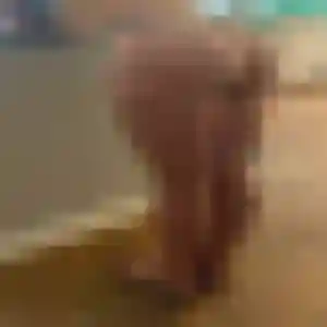 Nelly, 23 ans, disponible à Ailly pour une rencontre coquine