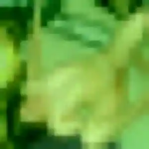 Profil de Karen à Aix-Villemaur-Pâlis (45 ans) - plan cul gratuit