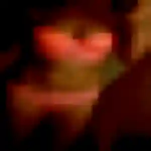 Fanny (33 ans) à Albitreccia cherche un plan cul ce soir