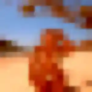 Photo de Lucienne à Almenêches (41 ans) - plan cul gratuit