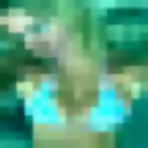 Profil de Romina à Ambleteuse (34 ans) - plan cul anonyme
