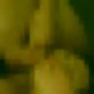 Corinne de Arcachon, 22 ans - plan cul discret