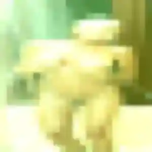 Photo exclusive de Bianca, 32 ans à Arconsat - rencontre sans lendemain