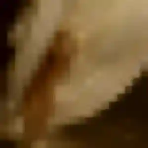 Contacte Alicia, 44 ans à Ardentes en privé