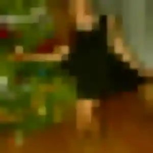 Zephyrine, 24 ans, cherche un plan cul à Artzenheim
