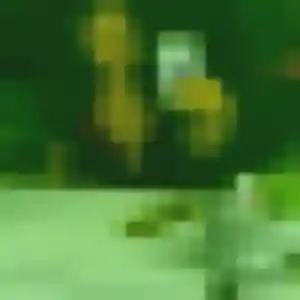 Malika, 32 ans, veut un plan cul à Arvert