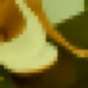Vanessa, femme de 22 ans veut plan cul à Auriac-sur-Vendinelle