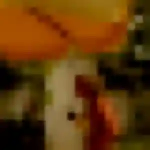 Photo sexy de Zineb, 27 ans à Aurice - plan discret