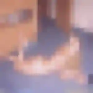 Profil de Clara à Ausson (34 ans) - plan cul gratuit