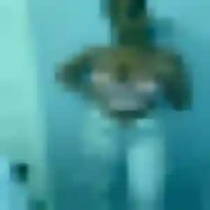 Aurelie, 37 ans, dispo pour plan cul à Availles-sur-Seiche