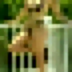 Profil de Zephyrine à Azerables (35 ans) - plan cul anonyme