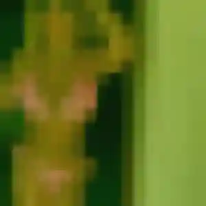 Photo de Alicia à Bailleul (41 ans) - plan cul discret