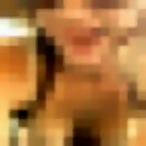 Photo perso de Louise, 42 ans à Barlin - rencontre coquine