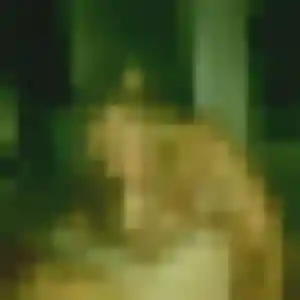 Photo perso de Hyacinthe, 44 ans à Barry-d'Islemade - rencontre coquine