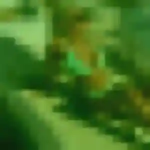 Photo perso de Alix, 41 ans à Bassens - plan discret
