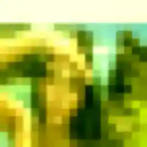 Katia, fille de 35 ans propose plan cul à Batz-sur-Mer