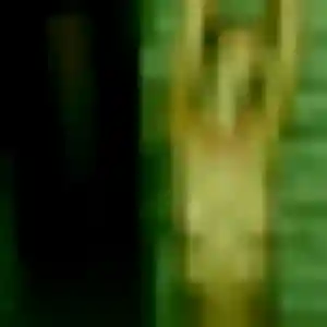 Christine, 23 ans, connectée à Beaufort-Orbagna pour une rencontre coquine