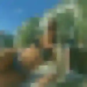Rencontre Colombine, 23 ans à Beaulieu-sur-Dordogne en privé