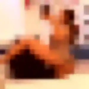 Photo privée de Gwendoline, 32 ans à Beaumont - rencontre coquine