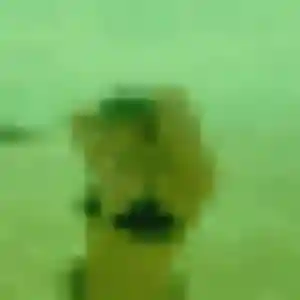 Photo perso de Ulrike, 26 ans à Beaurainville - rencontre coquine