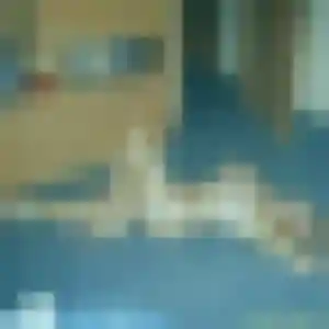 Photo perso de Maeva, 28 ans à Beauregard-de-Terrasson - rencontre coquine