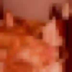 Photo exclusive de Apolline, 44 ans à Bégadan - rencontre coquine