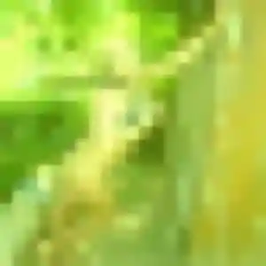 Photo de Nicole à Bellevigne-en-Layon (31 ans) - plan cul anonyme