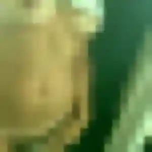 Romina, femme de 41 ans propose plan cul à Bellevigne-en-Layon