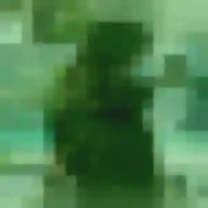 Photo de Laurence à Bellou-en-Houlme (40 ans) - plan cul anonyme