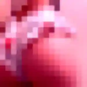 Photo de Paloma à Belmont-de-la-Loire (24 ans) - plan cul anonyme