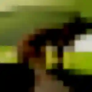Photo privée de Romina, 29 ans à Belpech - plan discret