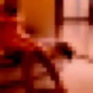 Contacte Graziella, 32 ans à Berru en privé