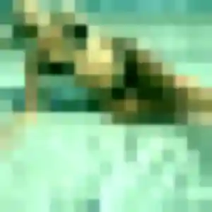 Profil de Vicky à Bersac-sur-Rivalier (45 ans) - plan cul gratuit