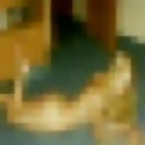 Salome, femme de 26 ans cherche plan cul à Besneville