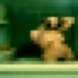 Photo de Dounia à Bessé-sur-Braye (37 ans) - plan cul anonyme