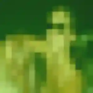 Celia, 22 ans, dispo pour plan cul à Béville-le-Comte