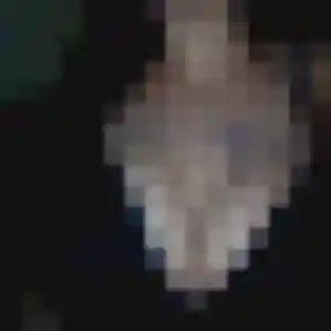Profil de Lily à Bihorel (22 ans) - plan cul discret