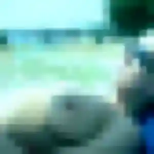 plan cul à Billy-sur-Aisne : photo de Eglantine, 26 ans - accès libre