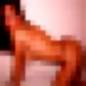 Sexy Anne-Charlotte, 23 ans à Boën-sur-Lignon - découvrir son profil