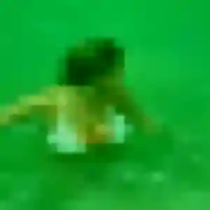 Joanne, femme de 31 ans cherche plan cul à Boissy-sous-Saint-Yon