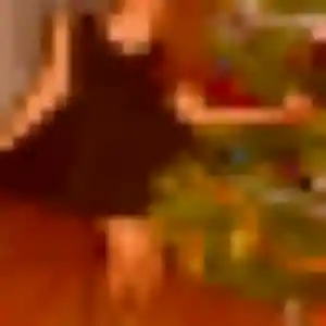Profil de Catherine à Bombon (32 ans) - plan cul anonyme