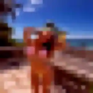 Photo sexy de Delice, 30 ans à Bonnelles - rencontre coquine