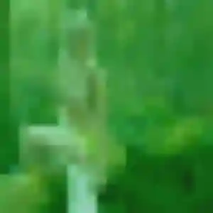 Oceane de Bosc-Guérard-Saint-Adrien, 43 ans - plan cul discret