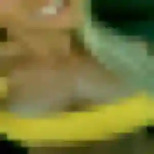 Priscilla, 37 ans, connectée à Boucé pour une rencontre coquine