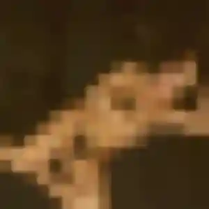 Camille (34 ans) à Bouéni attend une rencontre ce soir