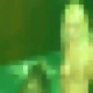 Marie-Jose (29 ans) à Bourg-Lastic propose une rencontre ce soir